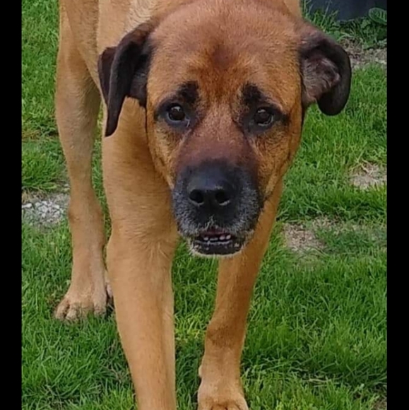 Meet your Posher, Brenda - Picture 3 of 5